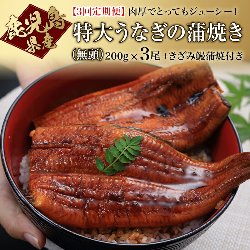 最安値挑戦】 鹿児島県産特大うなぎの蒲焼き 無頭 200g×３尾国産 鹿児島 鰻 特大