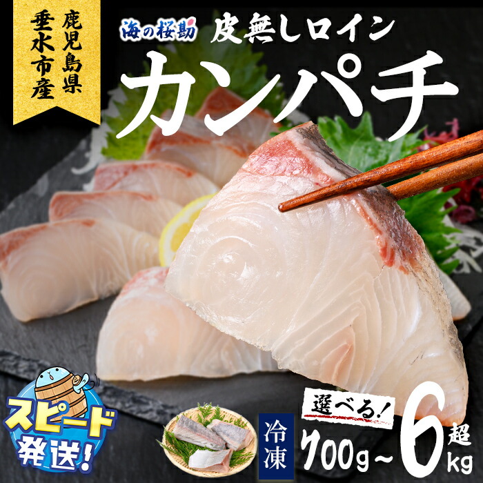 【楽天市場】【ふるさと納税】【配送方法が選べる】高評価★4.87 <すぐ届く!><10営業日以内発送!> 鹿児島県垂水市産カンパチ『海の桜勘』皮無しロイン(約700g〜6.3kg) 定期便 冷凍 魚 魚介 海鮮 カンパチ かんぱち 勘八 刺身 柵 国産 鹿児島産 垂水【垂水市漁業協同組合】:鹿児島県垂水市