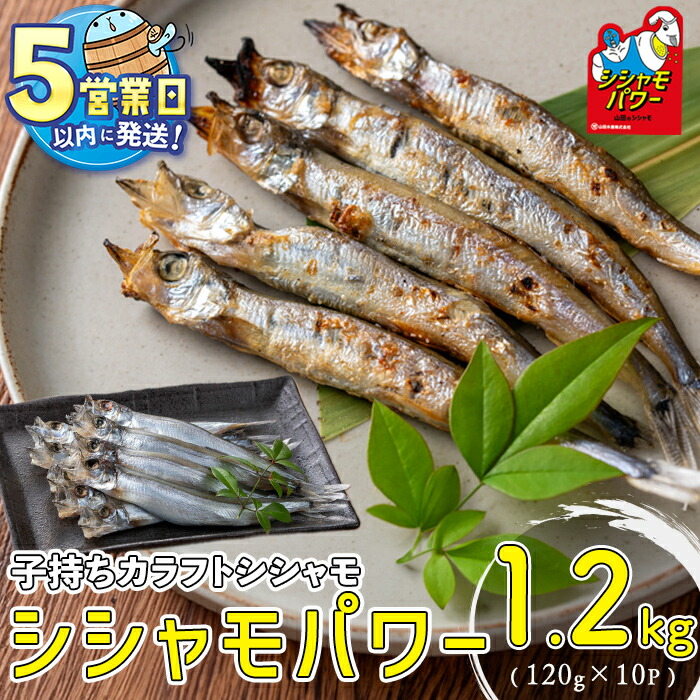 【ふるさと納税】＜すぐ届く！＞山田のシシャモパワー 計1.2kg(120g×10P) 子持ちからふとししゃも 子持ち ししゃも シシャモ シシャモパワー 魚介 メス 卵 冷凍 小分け 鹿児島県 垂水市【山田水産】A1-1802