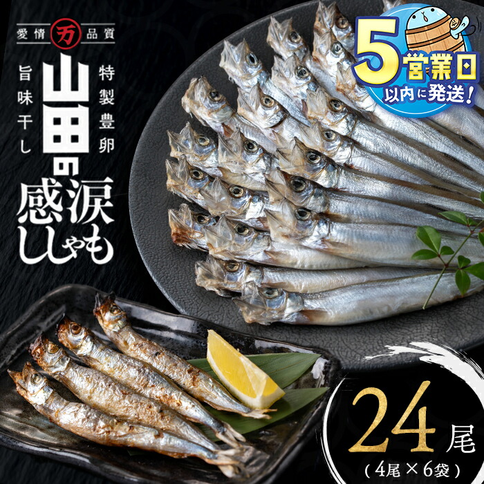 楽天市場】【ふるさと納税】＜すぐ届く！＞山田の感涙ししゃも 計24尾