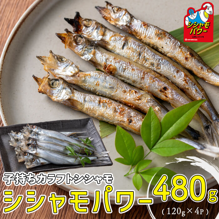 【ふるさと納税】山田のシシャモパワー 計480g(120g×4P) 子持ちからふとししゃも 子持ち ししゃも シシャモ シシャモパワー 魚介 メス 卵 冷凍 小分け 鹿児島県 垂水市【山田水産】W-1802