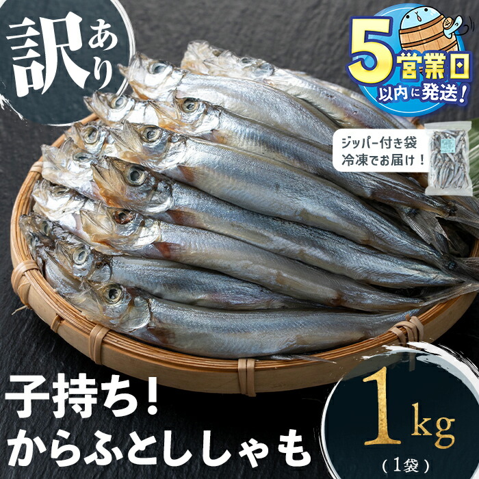 楽天市場】【ふるさと納税】ししゃも 子持ち カラフトシシャモ 特大 40