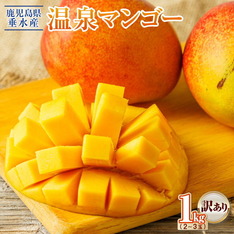 【ふるさと納税】【訳あり】【先行予約】マンゴー1kg 2～3玉でお届け フルーツ 果物 トロピカルフルーツ トロピカル 完熟マンゴー 温泉マンゴー 濃厚 甘い 産地直送 鹿児島 【財宝】A1-22552