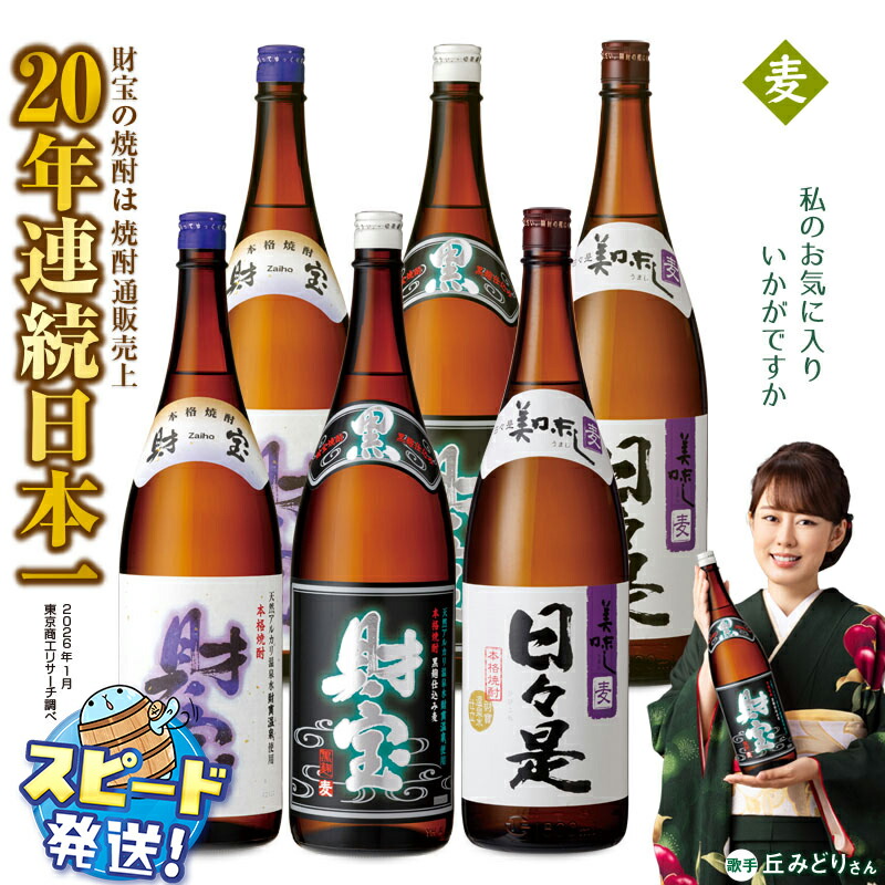 【ふるさと納税】麦焼酎 飲み比べセット 一升瓶 3種6本セット 焼酎 麦 1800ml アルコール 25度 天然アルカリ温泉水 財寶温泉 を割水に使用 ギフト 贈り物 プレゼント お酒 鹿児島県 すぐ届く【財宝】C3-22105