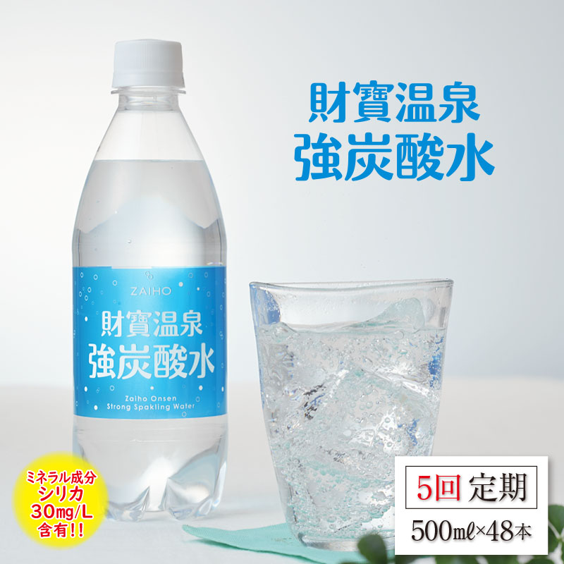 お茶 緑茶 500ml 垂水市 知覧茶葉使用 ペットボトル 鹿児島県 × お茶だもん 48本 おいしいネ 財宝 水出し