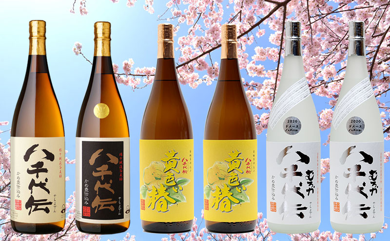 SPRING 八千代伝酒造 6本セット 芋焼酎 鹿児島 焼酎 垂水市 八千代伝