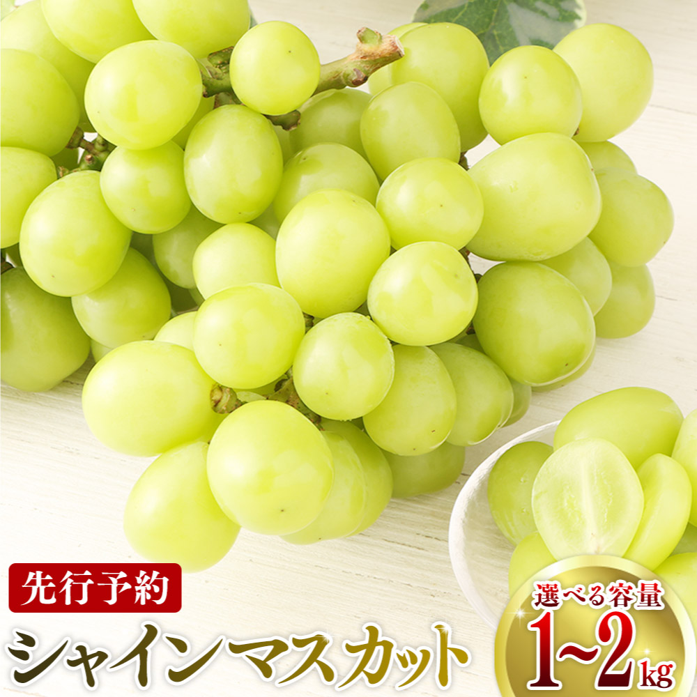 【ふるさと納税】【先行予約】 【選べる容量】 鹿児島県産シャインマスカット 1kg(1～4房) 2kg(2～6房)  数量限定 期間限定 ぶどう ブドウ 葡萄 上野ぶどう園 上野農園 元営農指導員 フルーツのまち 鹿児島県 薩摩川内市 送料無料