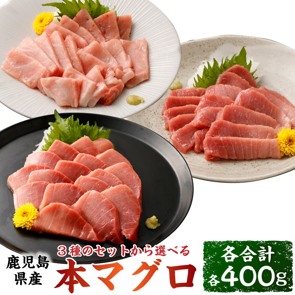 【ふるさと納税】【選べるセット】鹿児島県産 本マグロ 中トロ赤身セット 大トロ赤身セット 大トロ中トロセット 合計約400g 1袋あたり約200g 赤身 中トロ 大トロ トロ マグロ まぐろ 鮪 魚 セット 冷凍 九州 鹿児島県 薩摩川内市 送料無料 【2026年1月下旬より順次出荷】