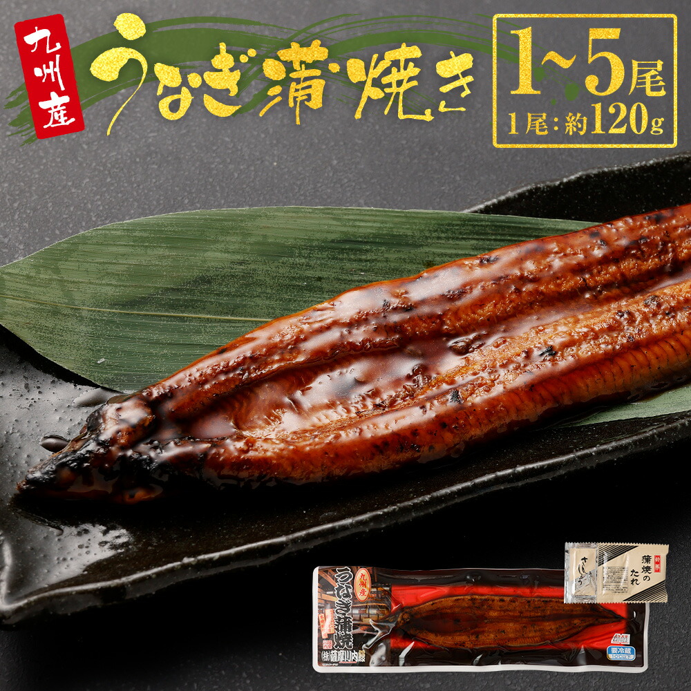 【ふるさと納税】【容量が選べる】 九州産 うなぎ蒲焼き 1～5尾 計約120g～600g タレ付 うなぎ ウナギ 鰻 うなぎの蒲焼き 鰻蒲焼 蒲焼き たれ 国産うなぎ 惣菜 おつまみ 土用の丑の日 冷凍 真空パック 国産 鹿児島県 薩摩川内市 送料無料