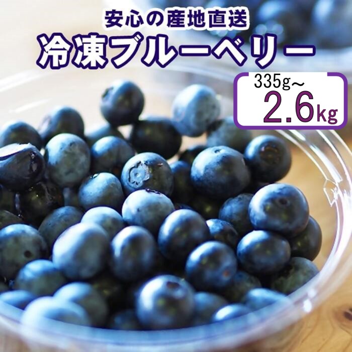 【ふるさと納税】【先行予約】冷凍ブルーベリー 335g～2.6kg ブルーベリー ぶるーべりー フルーツ 果物 果実 産地直送 季節限定 数量限定 ぶるべりちゃんの畑 鹿児島県 薩摩川内市 送料無料