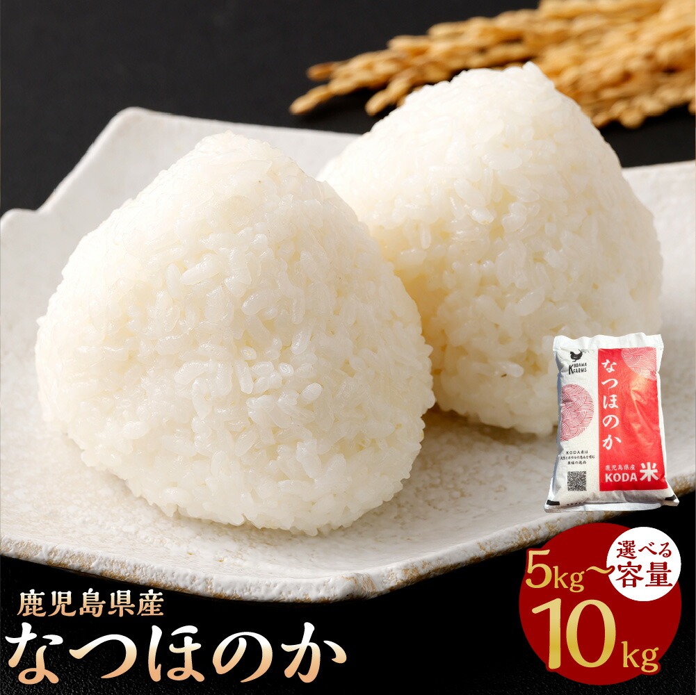 楽天市場】【ふるさと納税】 令和7年産 米 なつほのか 選べる 内容量