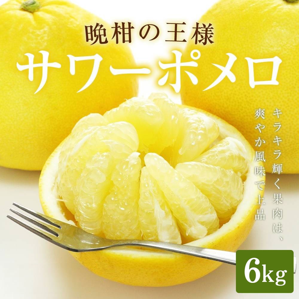 楽天市場】【ふるさと納税】＜先行予約受付中！2026年2月下旬
