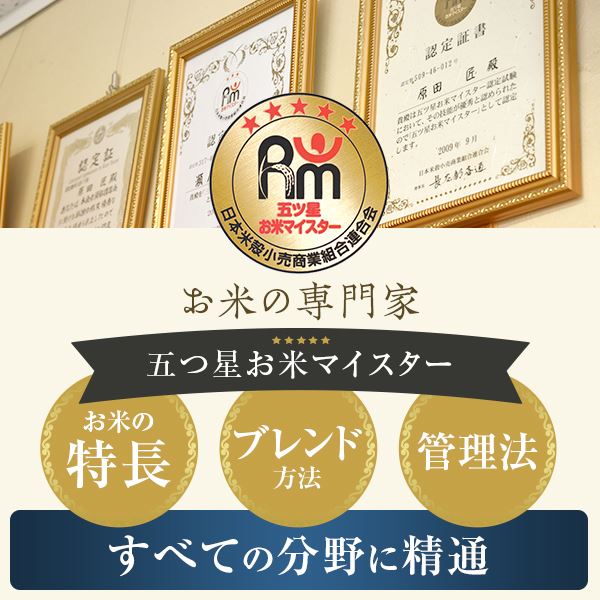 【ふるさと納税】発芽玄米2kg(1kg×2袋)発芽米GAVA(ギャバ)美容健康万能食品五つ星お米マイスター厳選国産鹿児島県薩摩川内市送料無料