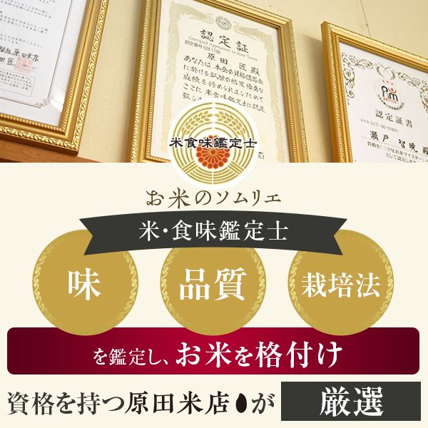 【ふるさと納税】発芽玄米2kg(1kg×2袋)発芽米GAVA(ギャバ)美容健康万能食品五つ星お米マイスター厳選国産鹿児島県薩摩川内市送料無料米十六穀米五穀米押麦国産鹿児島ギフトプレゼントお中元お歳暮薩摩川内市川内市川内ふるさと納税