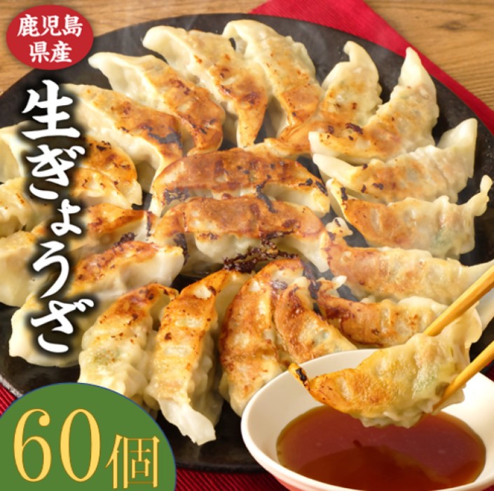 【ふるさと納税】 鹿児島生ぎょうざ 60個（10個入 × 6パック） 餃子のタレ1本入り ASR-0101 味処まるしょう お肉のまるしょう  餃子 ブランド豚  茶美豚 国産 生餃子 生ギョーザ 豚肉 母の日 父の日 敬老の日 お中元 お歳暮 冷凍 送料無料