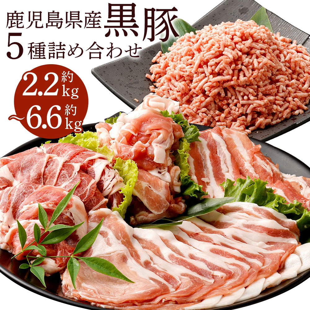 【ふるさと納税】鹿児島県産 黒豚 5種詰合せ（肩ロース・バラ・ロース・切り落とし・ミンチ）計約2.2kg 計約4.4kg 計約6.6kg ロース 豚バラ カタ モモ肉 豚ミンチ ミンチ肉 切落し 豚肉 肉 お肉 国産豚肉 セット お取り寄せ グルメ 冷凍 鹿児島県 薩摩川内市 送料無料｜鹿児島県薩摩川内市