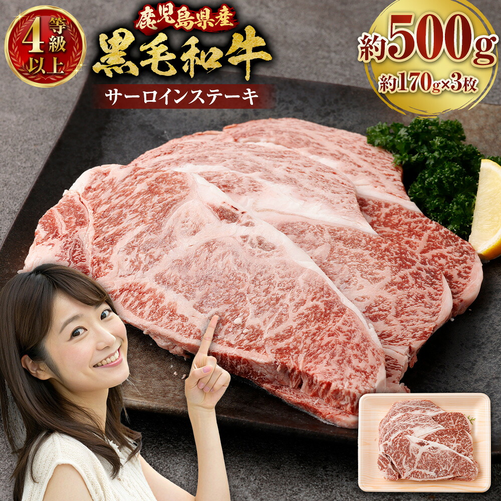 【ふるさと納税】【鹿児島県産】 黒毛和牛 サーロインステーキ 約500g (約170g×3枚) 牛肉 サーロイン ステーキ 国産 国産牛 ステーキ肉 肉 にく お肉 和牛 冷凍 スターゼン 鹿児島県 薩摩川内市 送料無料 BS-3122|鹿児島県薩摩川内市