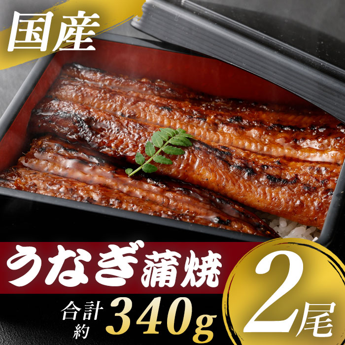 楽天市場】【ふるさと納税】 鹿児島県産 うなぎ蒲焼カット 約300ｇ（約75g×4袋） 薩摩川内うなぎ 蒲焼 うなぎ蒲焼 冷凍 鹿児島 国産 鰻 ウナギ  ギフト プレゼント お中元 お歳暮 薩摩川内市 川内市 川内 ふるさと 納税 : 鹿児島県薩摩川内市