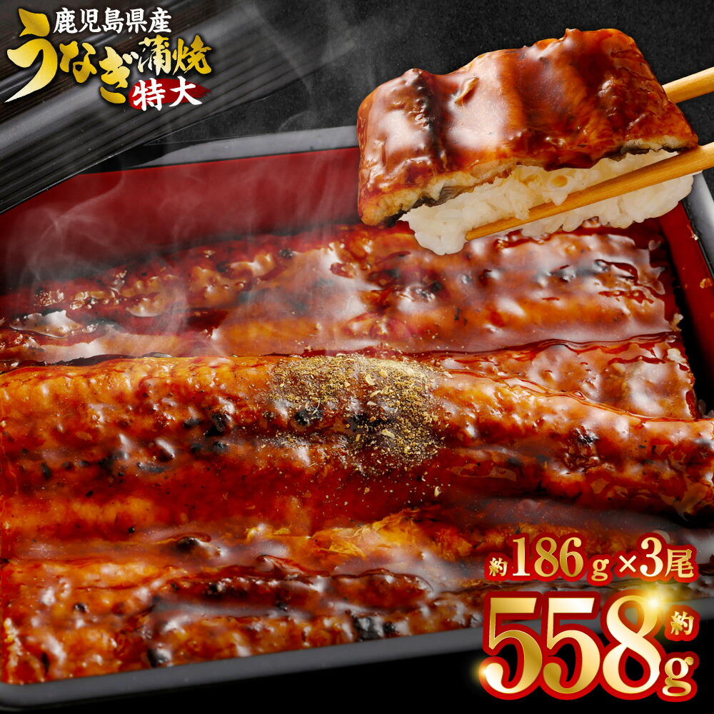 【ふるさと納税】【数量限定！配送月が選べる！】鹿児島県産 特大サイズうなぎ蒲焼3尾 合計558g以上 鰻蒲焼うなぎウナギ鹿児島県 薩摩川内市 送料無料