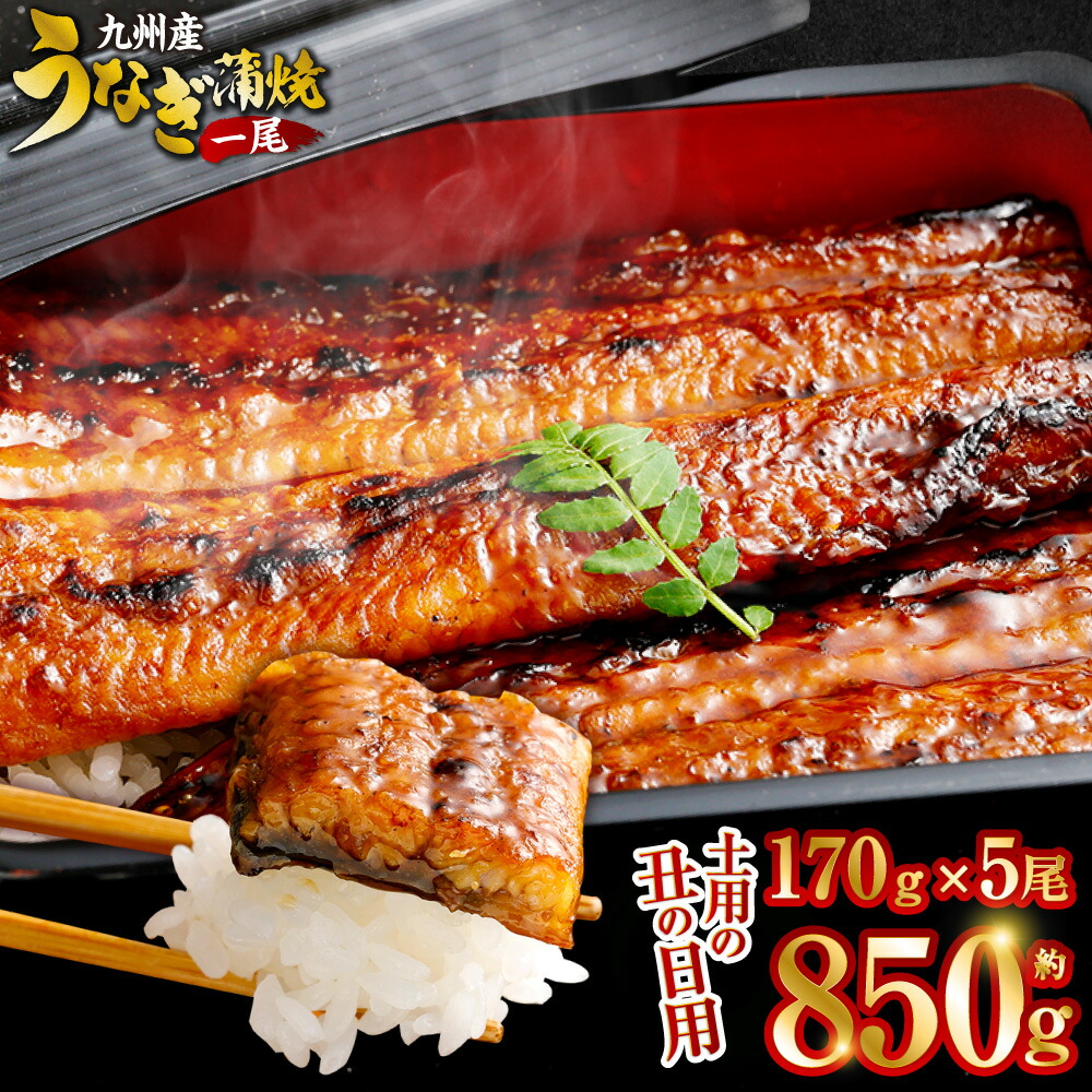 【ふるさと納税】【数量限定】先行予約 土用 の 丑の日 用 九州産 うなぎ蒲焼  計約850g（約170g×5尾 ）【2025年7月発送】   うなぎ 蒲焼き うなぎ 無頭 蒲焼き タレ付き 薩摩川内うなぎ 蒲焼 うなぎ蒲焼 冷凍 鹿児島 国産 鰻 ウナギ 薩摩川内市 ふるさと納税
