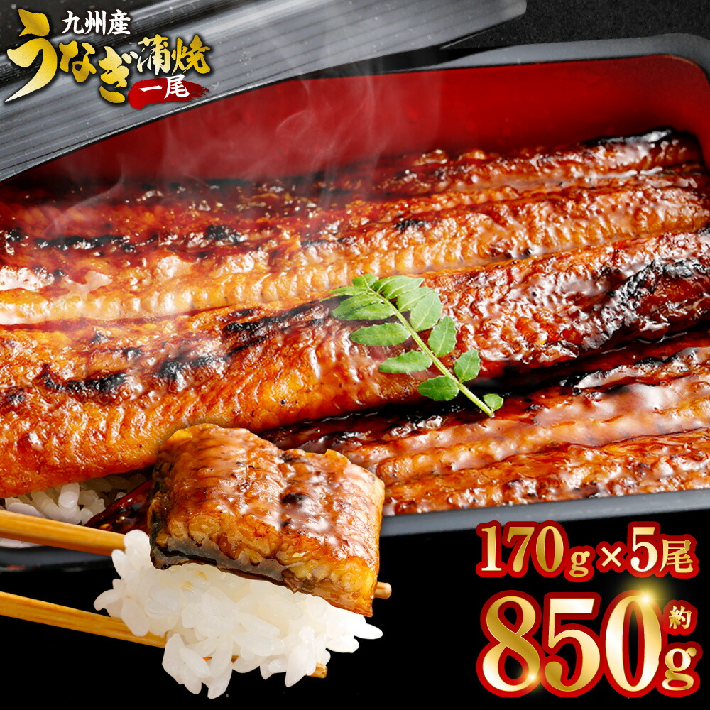 【ふるさと納税】 【配送月が選べる！】 九州産うなぎ蒲焼 約170ｇ×5尾 うなぎ 蒲焼き うなぎ 無頭 蒲焼き タレ付き 薩摩川内うなぎ 薩摩川内鰻 蒲焼 うなぎ蒲焼 冷凍 鹿児島 国産 鰻 ウナギ ギフト プレゼント お中元 お歳暮 薩摩川内市 川内市 川内 ふるさと 納税