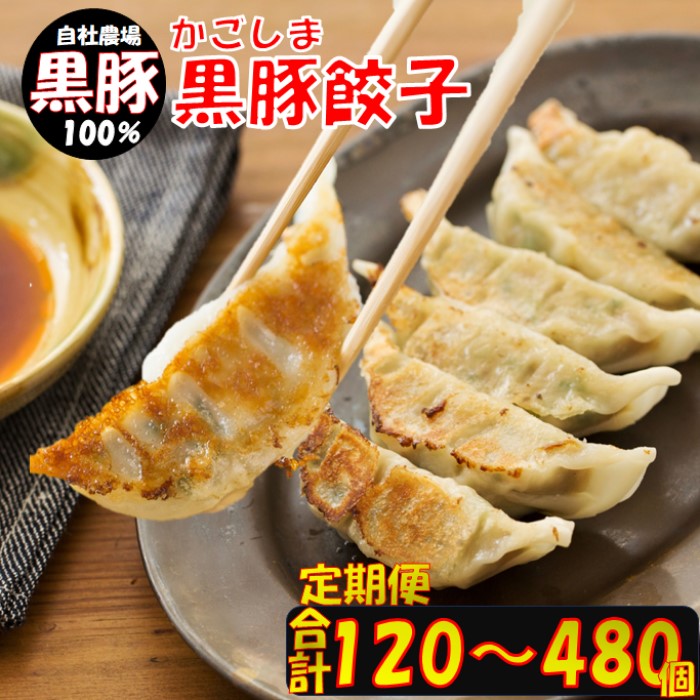 【ふるさと納税】【定期便】かごしま黒豚餃子 合計120~480個 毎月 隔月 餃子 黒豚餃子 黒豚 豚肉 豚 肉 国産 父の日 母の日 父 母 ギフト お祝い 贈り物 お取り寄せ シェフ 料理人 アウトドア 鹿児島県産 薩摩八重ファーム 工房みかく亭 鹿児島県 薩摩川内市 送料無料|鹿児島県薩摩川内市