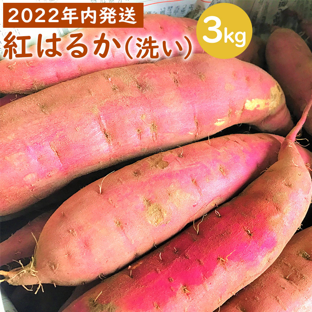 ママたちの想いをギュッ 薩摩で育てたさつまいも 紅はるか 洗い 3kg 小 Z 568 熟成 蜜芋 お試しサイズ 焼き芋 小さめサイズ さつまいも サツマイモ 薩摩芋 芋 吉永農園 鹿児島県 薩摩川内市 送料無料 50 Off