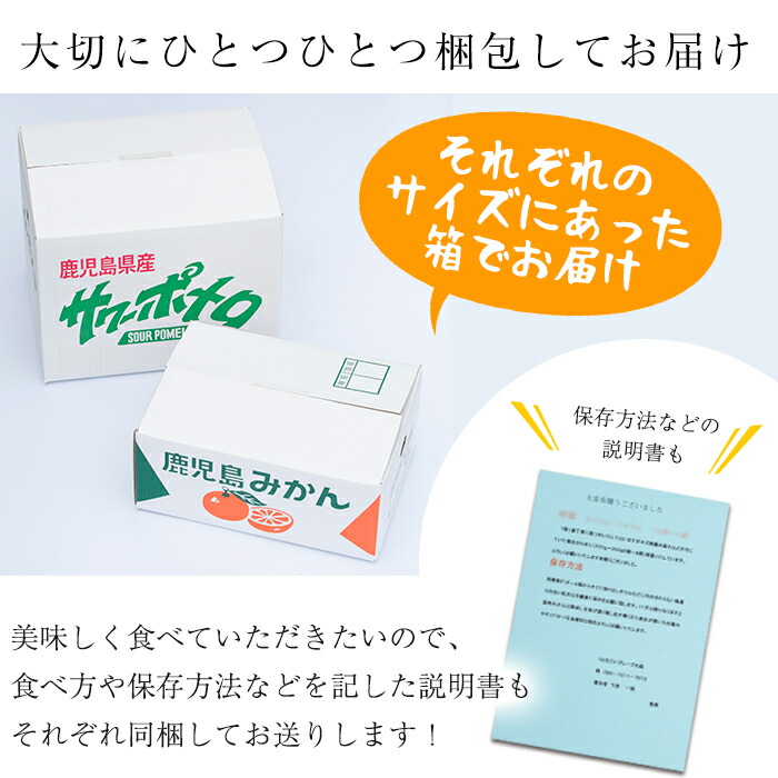 世界有名な 鹿児島県日置市晩柑橘の王様サワーポメロ 後味さっぱりのとっても食べやすい文旦種 オリーブオイル 日置市 つとむじぃグレープの森 柑橘類のサワーポメロ 6kg L 3l 5個 23個 柑橘の王様と呼ばれるみかんです 宝山 ふるさと納税 年4月末迄の