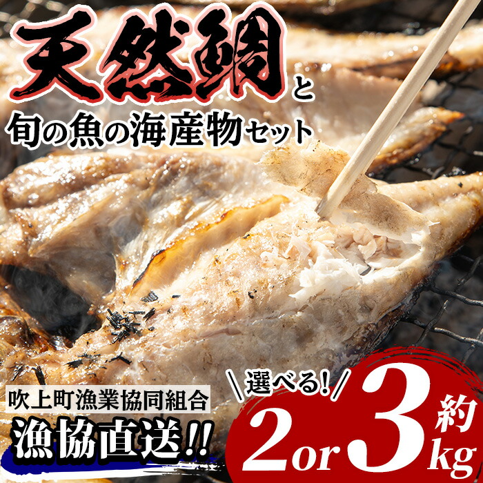 【ふるさと納税】＜選べる＞天然鯛！タイと旬の魚の干物・旬の魚の竜田揚げの素セット(計約2.0kg/計約3.0kg) 干物 竜田揚げ タイ 鯛 たい 魚貝類 魚 地魚 旬 海産物 竜田揚げ セット 冷凍 真空パック 詰め合わせ【吹上町漁協】