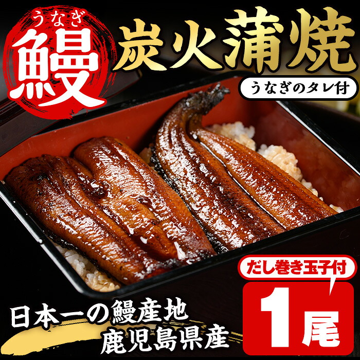 【ふるさと納税】鹿児島県産うなぎの炭火蒲焼(1尾・タレ付)と自慢の出汁巻き卵1本付! 国産 九州産 鰻 ウナギ うな重 うな丼 蒲焼 卵焼き 出汁巻き 出汁巻きたまご 炭火焼 おかず 特産品 お土産 セット冷凍【家むら】|鹿児島県日置市