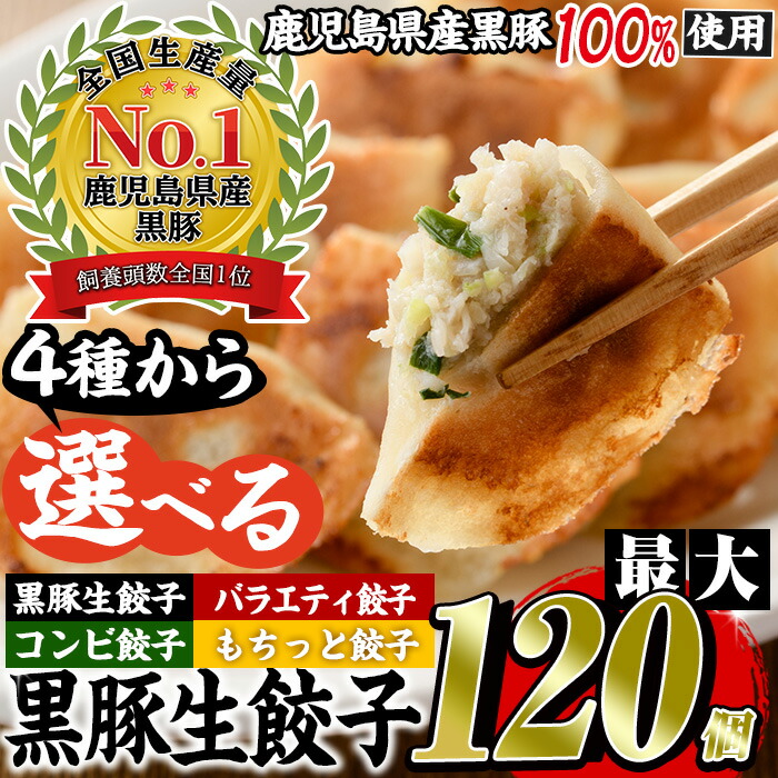 【ふるさと納税】＜発送時期が選べる＞選べる4種！鹿児島黒豚使用の黒豚餃子(黒豚生餃子計96個/バラエティ餃子計96個/黒豚もちっと餃子計120個/黒豚コンビ餃子計108個) 国産 九州産 鹿児島県産 餃子 ぎょうざ ギョウザ 冷凍 黒豚 豚肉 お肉 おかず 惣菜【末永商店】