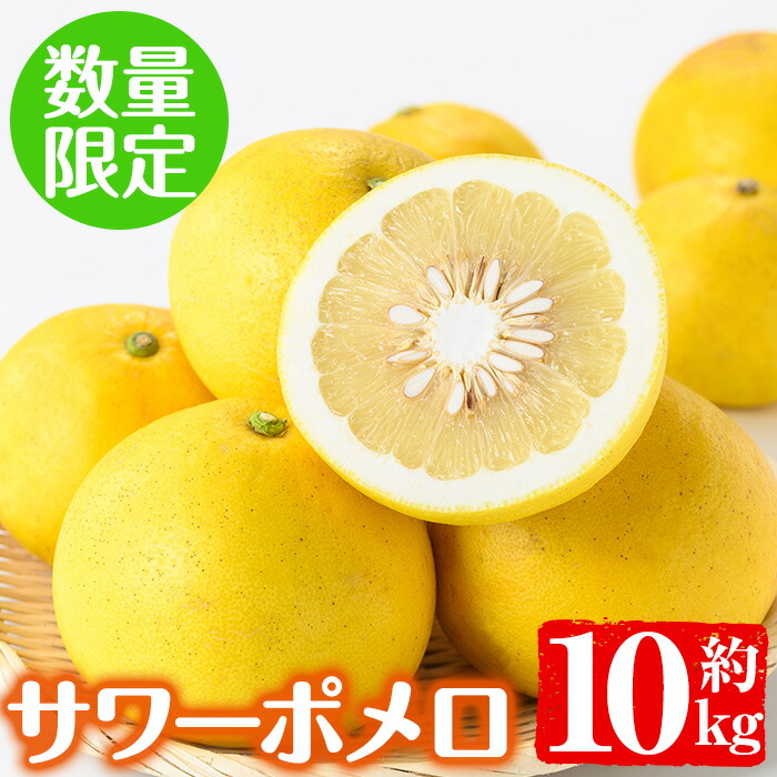 （鹿児島特産品）M.c・maria① サワーポメロ　箱満杯詰 いちき串木野産サワーポメロ | フルーツ - 【かごしまぐるり】鹿児島の