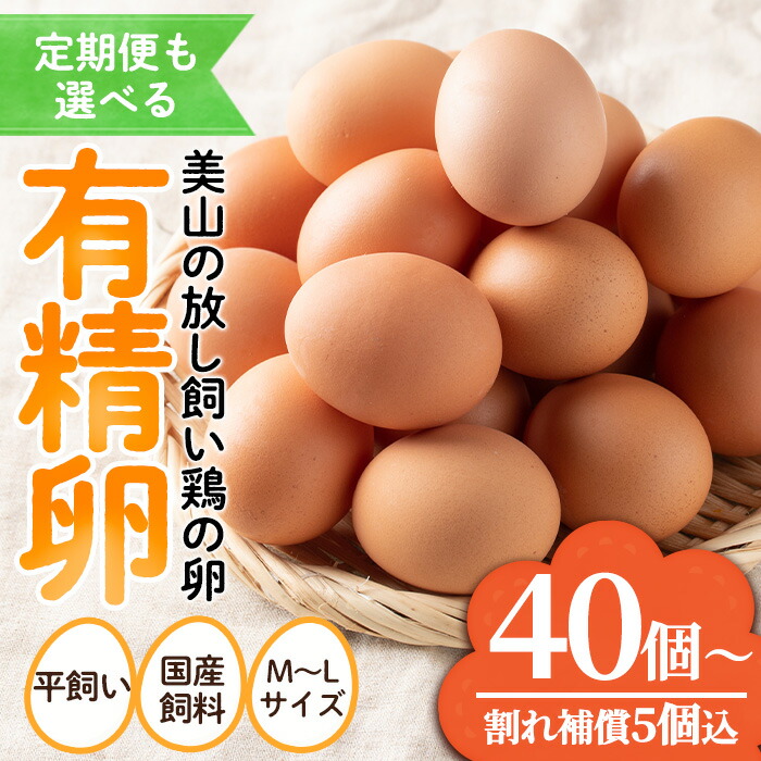 【ふるさと納税】＜定期便も選べる！＞鹿児島県産有精卵(40個/定期便・40個×6回連続) 割れ保証付 国産 九州産 鹿児島県産 たまご タマゴ 有精卵 卵 鶏卵 生卵 おかず TKG 卵かけご飯 朝食 定期便 頒布会 数量限定【美山たまご王国】