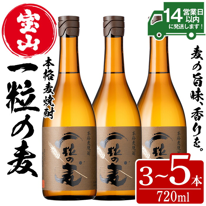 【ふるさと納税】＜本数選べる＞一粒の麦(720ml&times;3～5本) 焼酎 麦焼酎 酒 アルコール 麦 家飲み 宅飲み 大麦 大麦麹 セット 常温 常温配送 常温保存【西酒造】｜鹿児島県日置市