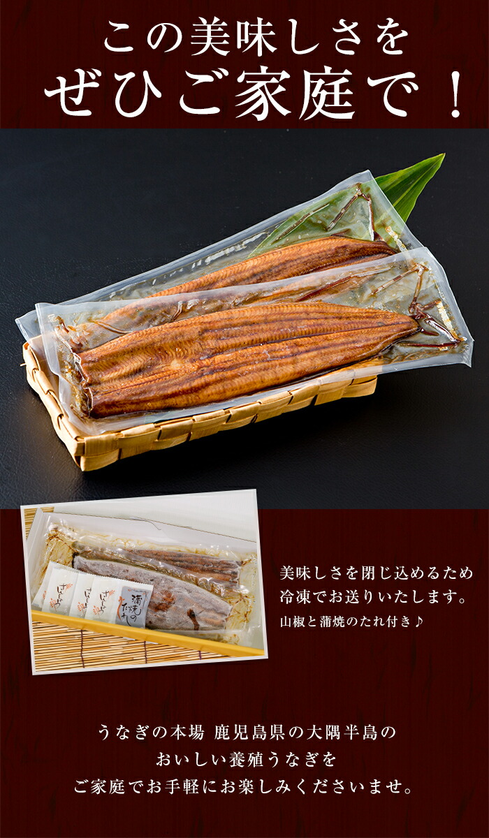 60 Off ふるさと納税 鹿児島県産うなぎ蒲焼 Aセット 計280g 約140g 2尾 タレ 山椒付き 急速冷凍で焼きたての風味のままお届け 西日本養鰻 送料込 Www Psht Or Id