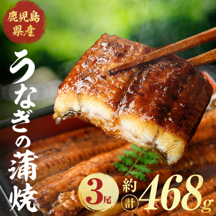 【ふるさと納税】鹿児島県産うなぎ蒲焼 (計約468g / 約156g×3尾) 鰻 ウナギ うなぎ うな重 鹿児島県産 冷凍 【株式会社薩摩川内鰻】|鹿児島県曽於市