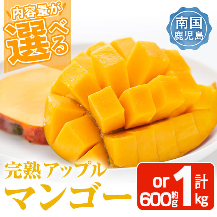 【ふるさと納税】＜先行予約受付中・2025年6月上旬～7月中旬頃発送予定＞＜選べる内容量！＞＜数量限定＞完熟アップルマンゴー「紅」(約600g～計1kg) マンゴー アップルマンゴー 旬 果物 フルーツ 紅 くだもの 化粧箱入り 贈答用 家庭用 宮崎県境【大徳産業】