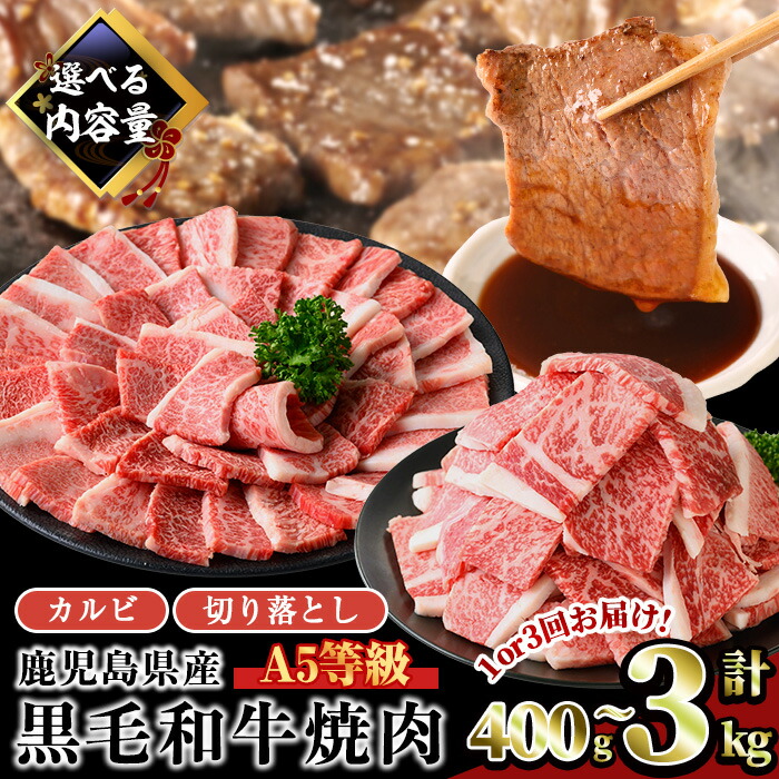 【ふるさと納税】<配送回数・内容量が選べる>【人気の カルビ 焼肉 !】A5等級鹿児島県産黒毛和牛カルビ焼肉 or 焼肉切落し(計400g~3kg / カルビ焼肉定期便全3回 200g×2パック or 200g×5パック) 牛肉 国産 カルビ 焼き肉 小分け A5 冷凍 黒毛和牛 訳あり 【LRプラスK】|鹿児島県曽於市