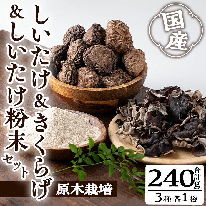 【ふるさと納税】しいたけ+しいたけ粉末+きくらげセット(合計240g・3種)国産 しいたけ シイタケ きのこ キノコ 粉末 パウダー きくらげ キクラゲ 常温 常温保存【九南サービス(タマチャンショップ)】|鹿児島県曽於市