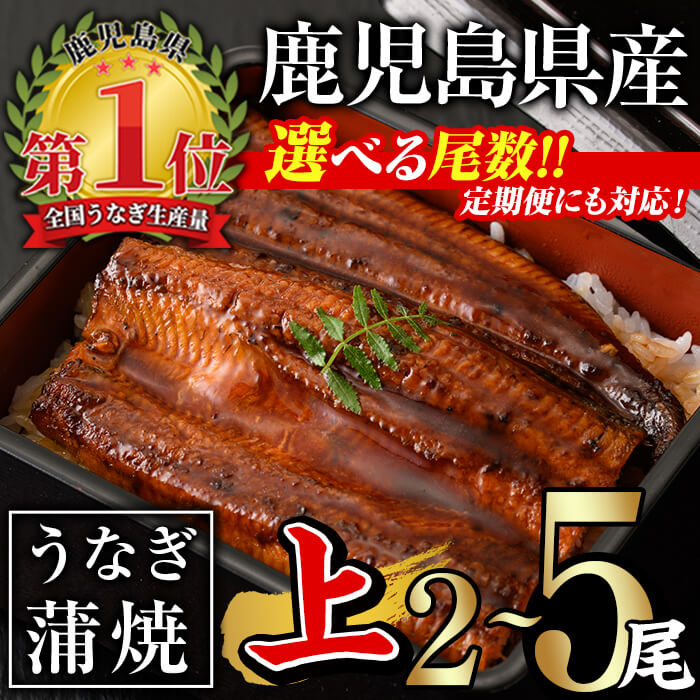 【ふるさと納税】＜尾数・配送回数が選べる！＞無投薬！鹿児島県産うなぎ蒲焼セット＜上＞(計280g以上～計700g以上・140g以上×2尾～5尾 / 定期便 全3回 計840g以上・140g以上×2尾×3回) タレ・山椒付き 鰻 うなぎ 蒲焼 ひつまぶし 鹿児島県産 国産 急速 冷凍【西日本養鰻】