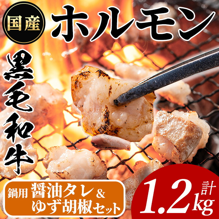 【ふるさと納税】国産黒毛和牛ホルモン(計1.2kg・200g×6P or 400g×3P)&醤油タレ(濃縮タイプ：30g×1P) &ゆず胡椒：1個 牛肉 BBQ 鍋 夕食 キャンプ 小分け もつ鍋 ホルモン【ナンチク】 12,480円