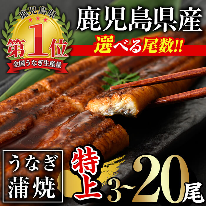【ふるさと納税】＜尾数が選べる！＞無投薬！鹿児島県産うなぎ蒲焼セット＜特上＞(計480g以上～計3.2kg以上・ 160g以上×3尾～20尾) タレ・山椒付き 鰻 うなぎ 蒲焼 ウナギ 急速 冷凍 6尾 ひつまぶし 鹿児島県産 国産【西日本養鰻】