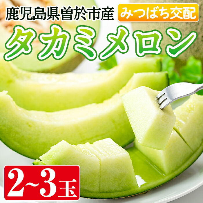 【ふるさと納税】＜期間限定！2025年5月中旬以降発送予定＞タカミメロン(2～3個入) 鹿児島県産 メロン 青肉メロン 青肉 フルーツ 果物 プレゼント 贈り物 贈答用【曽於市観光協会】