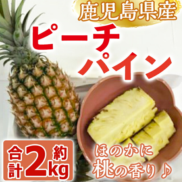 ふるさと納税 数量限定 ハウス栽培 曽於のピーチパイン 計約2kg 1kg以上 2個セット パイナップルなのにほのかに桃の香り 大徳産業 収穫したての新鮮果物をお届け 鹿児島県曽於市のピーチパイン 南国フルーツパイナップル ふるさと納税 曽於市 果物 フルーツ 国産 Hoopac Ch