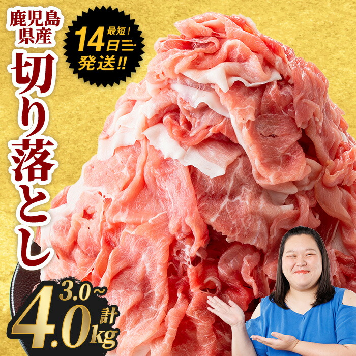 【ふるさと納税】豚肉 切り落とし <選べる内容量・銘柄>豚肉切り落とし(合計3.0~4.0kg、鹿児島県産豚/曽於ポーク) セット 国産 鹿児島県産 小分け 真空 冷凍 豚 肉【Rana】|鹿児島県曽於市