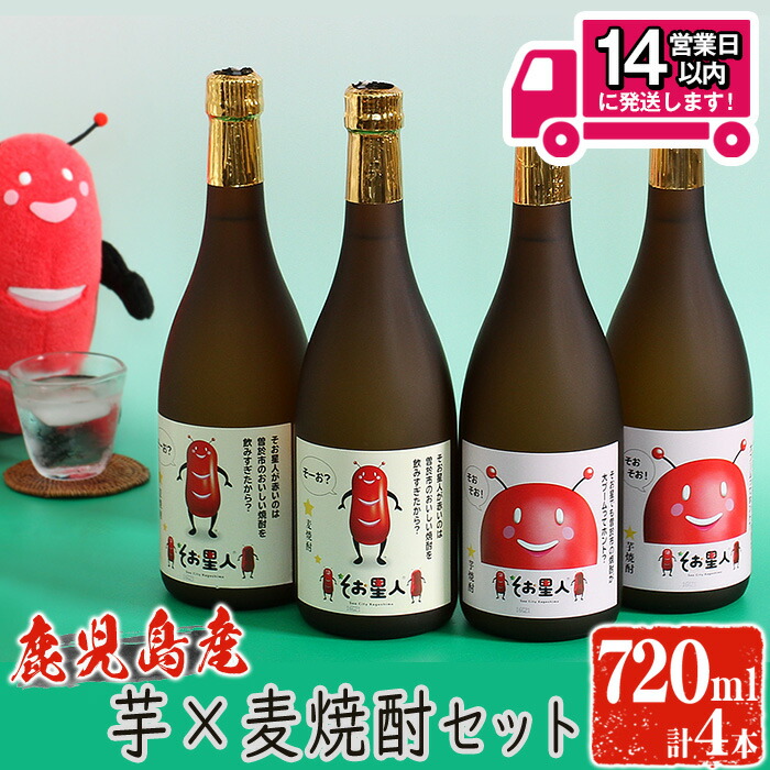 【ふるさと納税】＜2週間以内発送！＞【芋・麦焼酎セット】鹿児島曽於市の本格焼酎を飲み比べ そお星人の芋焼酎と麦焼酎セット 岩川醸造(720ml×4本) 焼酎 芋焼酎 麦焼酎 本格焼酎 芋 麦 酒 お酒 アルコール 飲み比べ セット 詰め合わせ ギフトプレゼント【山元商店】