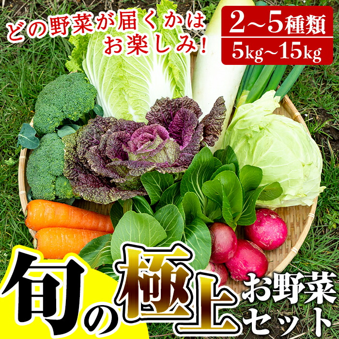 ふるさと納税 極野菜 旬の極上お野菜セット 野菜ソムリエが作る季節のやさい詰め合わせ2 5種類 5kg 15kg栽培期間中節減対象農薬 化学肥料 不使用 百姓道有元農場 鹿児島県霧島市野菜ソムリエがお届けする野菜セット 季節ごとに旬のやさいを詰め合わせでお届け