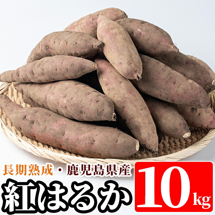 【ふるさと納税】鹿児島県産＜紅はるか＞土付き(10kg)さつまいも サツマイモ さつま芋 紅はるか 生芋【フレッシュジャパン鹿児島】