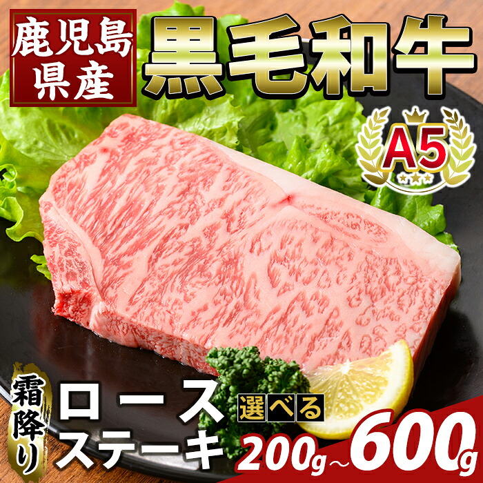 流山市 ２００１/ゼンリン（単行本） 流山市 2001/ゼンリン（単行本） 【公式通販】