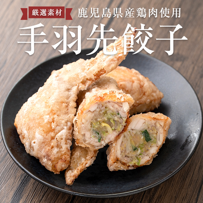 3000円 『1年保証』 ふるさと納税 A-221 焼鳥50本 串盛りセット 焼鳥